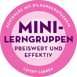 Nachhilfe Gruppen Mini-Lerngruppen Nürnberg online