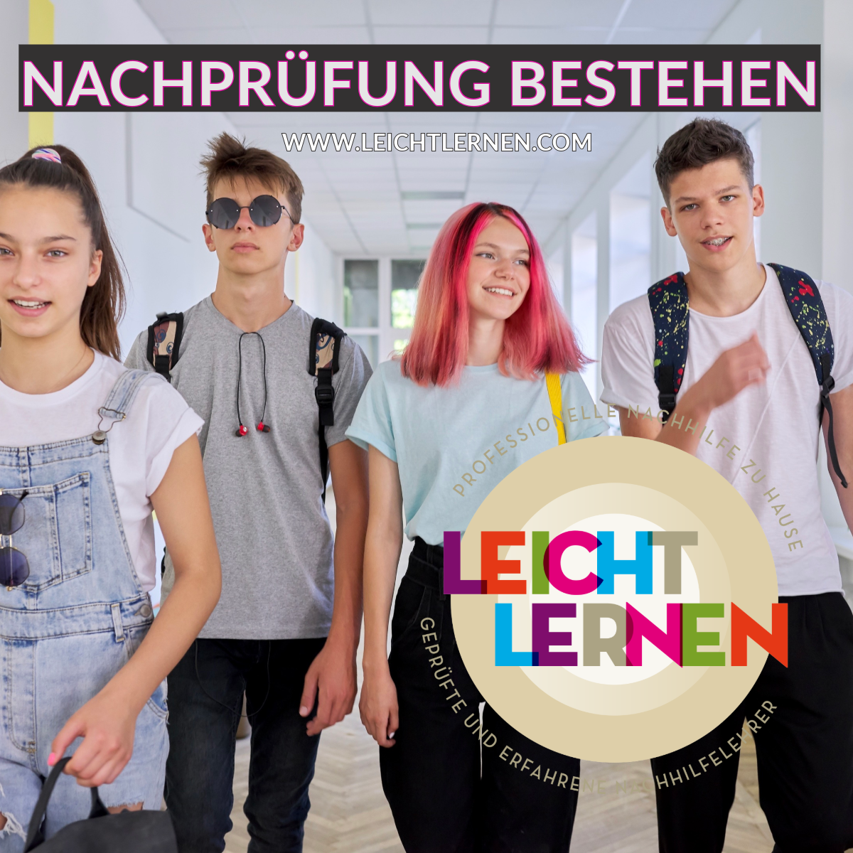 Nachprüfungsvorbereitung Einzelunterricht zu Hause Nachhilfe Nachprüfung Realschule Gymnasium Mathe Deutsch Englisch Latein Französisch Physik Chemie BWR Nürnberg Fürth Erlangen Hausunterricht private nachhilfe